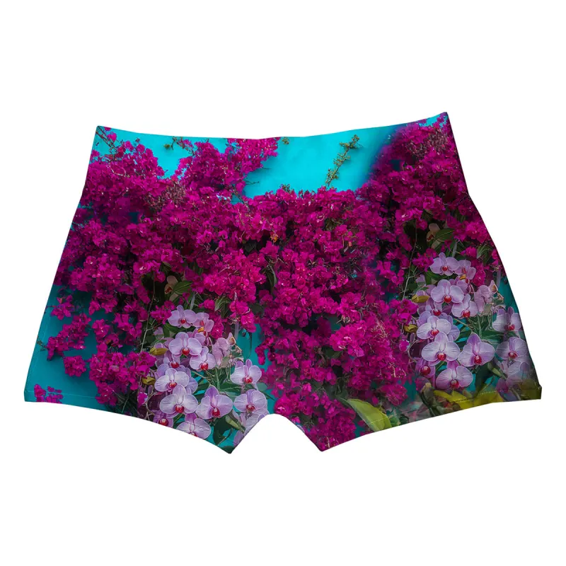 Colibri Boxer