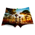 Duo Trip Boxer