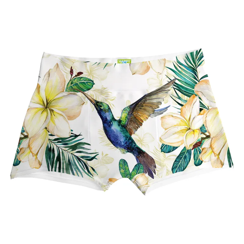 Hummingbird Boxer