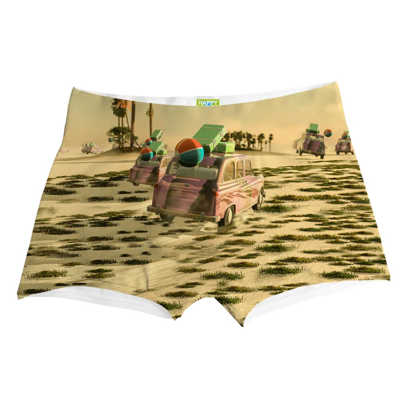 Paris Dakar Boxer