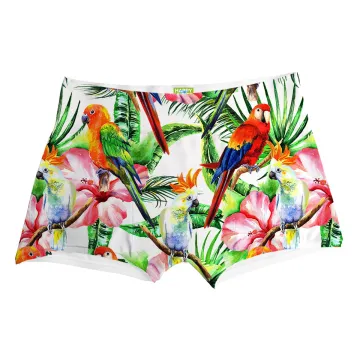 Parrots Talk Boxer