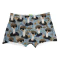 Sir Ostrich Boxer