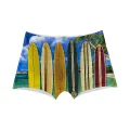 Surf Is Up Boxer