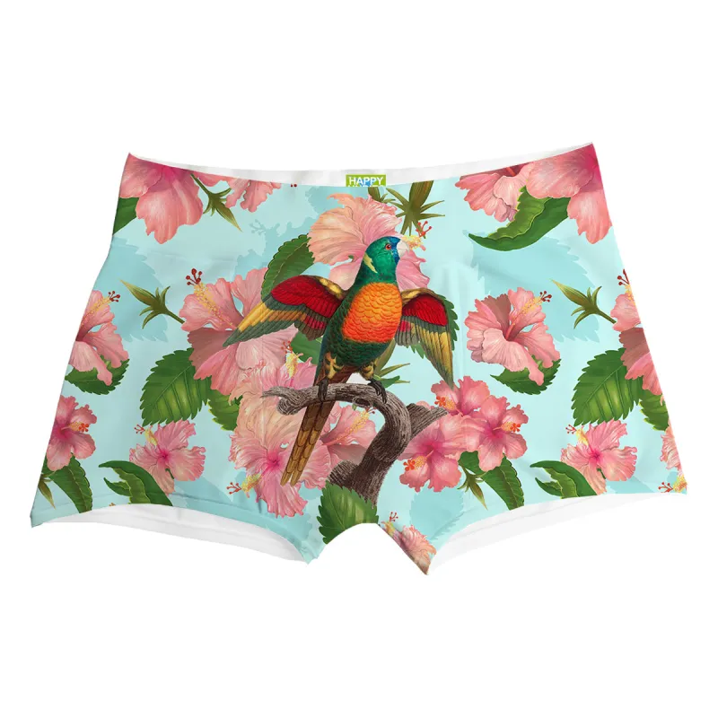Wild Singer Boxer