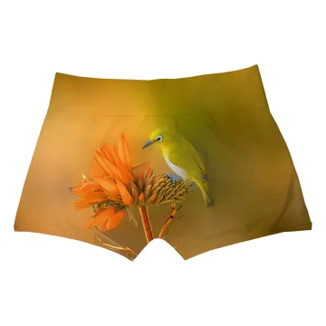 Yellow Bird Boxer