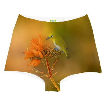 Yellow Bird Highwaist