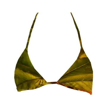 Hello Top Triangle